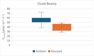 Figure showing decrease in Vcmax for Ozark Beauty