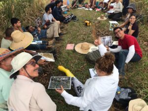 Soil Food Web Activity 