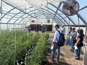 Field day demonstration at Texas A&M AgriLife, Weslaco
