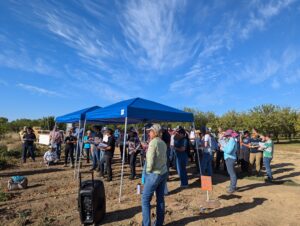 A group of people stand under canopies alongside a tomato field trial as researches present on preliminary findings