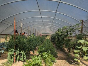2024 Warner Hall Farm's Fall Field Day - 3