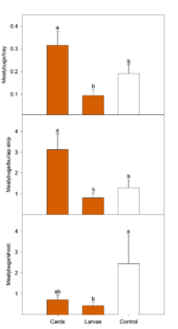 three panel graph showing mealybug counts via three methods in two lacewing release treatments and the control