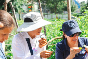 Magnifying glass use