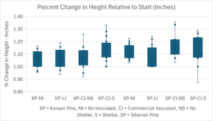 Percent change in height of Korean and Siberian Pine in September 2025 relative to April 2024