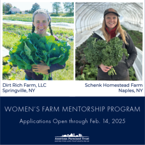 mentorship program
