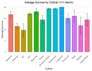 A bar graph