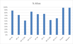Survival May 2024 to September 2025