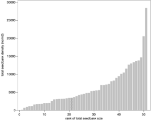 A bar graph of weed seedbank desnity by farm organized from lowest density (near zero) at the left to highest density (near 30,000 seeds per square meter).