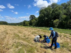 Fig. Soil sampling for erosion assessment at Farm A.