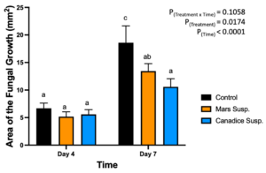 Figure 14. Bar graphs represent the effect of antifungal activity of Mars and Canadice cell suspension cultures on the area of the fungal growth (AFG) of B. cinerea in detached berries. Values shown are mean ± SE (n=10). Given significant interaction effect of treatment and time (P < 0.0001) simple effects ANOVAs and Tukey multiple comparison, P < 0.05 were performed separately for each day; different letters indicate significant differences. Black bar (control), orange bar (Mars suspension), and blue bar (Canadice suspension).