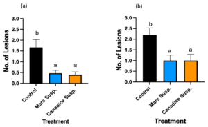 Figure 14. Bar graphs represent the effect of antifungal activity of Mars and Canadice suspension cultures on the (a) number of lesions formed after being challenged with B. cinerea on Mars leaves in detached leaf assay. (b) number of lesions formed after challenged with B. cinerea on Canadice leaves in detached leaf assay on day 7. Values shown are mean ± SE (n=15). (one-way ANOVA, Tukey multiple comparison, P < 0.05). Control (black bar), Mars suspension (orange bar), and Canadice suspension (blue bar). Different letters indicate significant differences. 