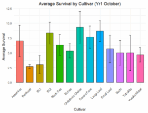 A bar graph