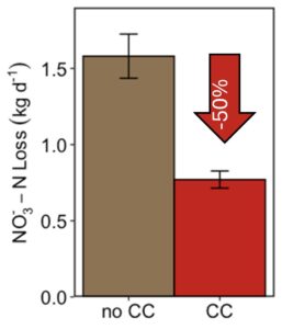 Figure 3: Mean±SE winter and spring nitrate loss in kg d-1 at Shatto from tiles draining cover crop (CC) and no cover crop (NO CC) treatment fields.