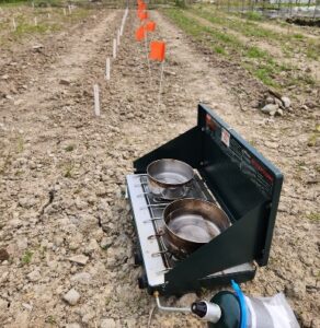 A field with a several straight rows of stakes or flags indicating plot borders. In the foreground sits a double burner propane stove used to boil the water.