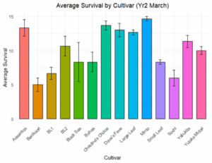 A bar graph