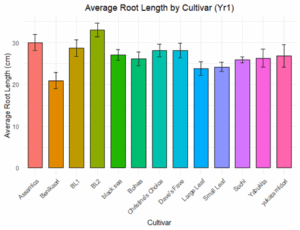 A bar graph