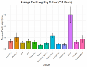 A bar graph