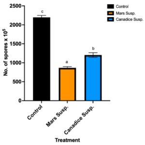 Figure 6. Bar graphs represent the number of spores produced on day 7 of the effect of antifungal activity of cell suspensions on the growth of B. cinerea in vitro. Values shown are mean ±SE (n=10). Control (black bar), Mars (orange bar), and Canadice (blue bar). (one-way ANOVA, Tukey multiple comparison, P < 0.05). Different letters indicate significant differences.