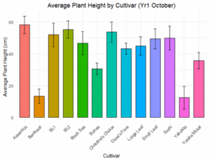 A bar graph