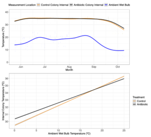 Internal colony temperature is significantly affected by ambient wet bulb temperature in control but not OTC treated colonies 