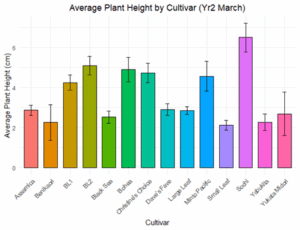 A bar graph