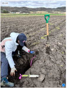 Fig. Azucena Sierra Garcia retrieving soil temperature sensors,
