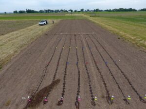 Testing the irrigation setup at planting at PPAC, 6/13/23.