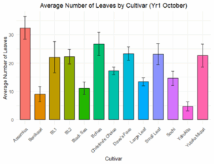 A bar graph