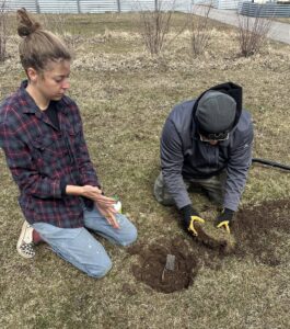 Planting