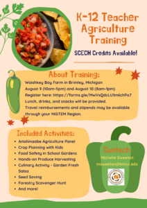 Playful Nature Teacher Externship