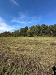 Plot with Switch grass