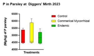 
Figure 12 shows the parsley P concentrations at the end of the experiment. While not statistically significant, the trend was highest in the commercial mycorrhizae, followed by the control, followed by the endemic.

