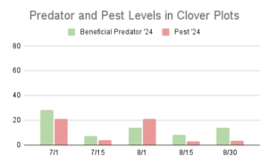 This chart describes insect pest and predator levels at 5 different sample dates throughout the summer of 2024 in clover cover crop plots on Brown Dog Flower Farm.