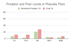 This chart describe insect pest and predator levels at 5 different sample dates throughout the summer of 2024 in phacelia cover crop plots on Brown Dog Flower Farm. Pest levels are at their highest, around 30, in sample three, and outnumber predator levels in samples one through three. 