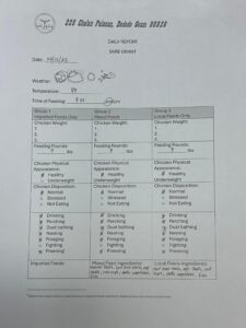 Project Daily Report