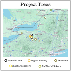 Map of assessed trees