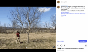 Pruning social media