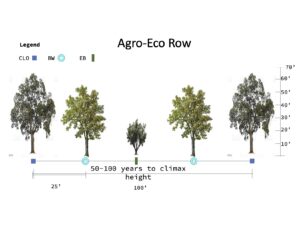 Ag Row 1