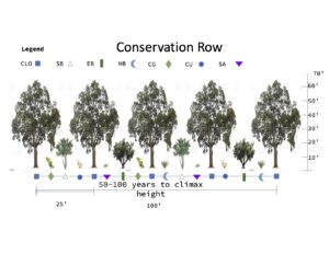 Conserve Row