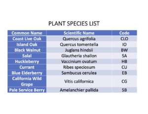 Species