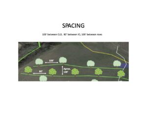 Spacing