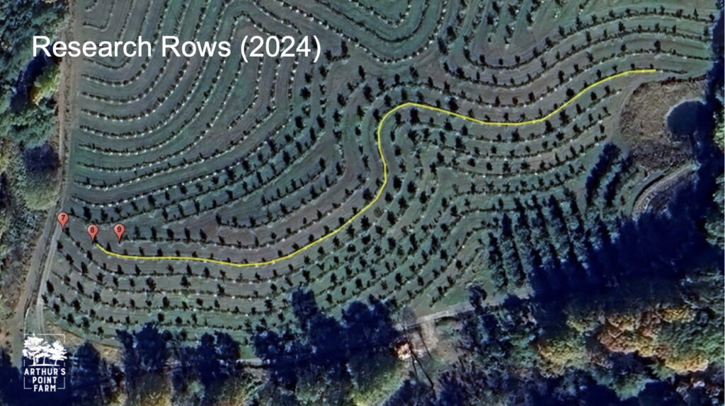 Research Rows (2025)