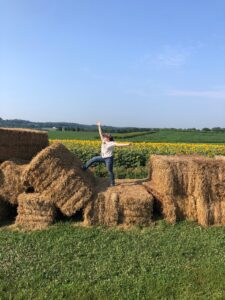 Agritourism Scenery, Sunflowers