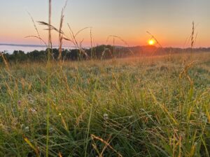 Sunrise on Munsch Farm