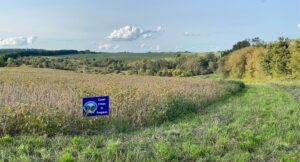 Cover Crops in Field with Sign