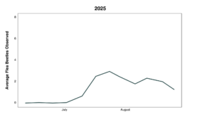 graph of flea beetle observations over sampling dates