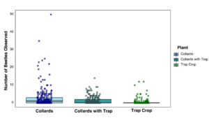 Beetle observation data on the three plant types