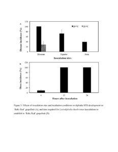 Figure 3. Effects of inoculation sites and incubation conditions on diplodia SER development on ‘Ruby Red’ grapefruit (A), and time required for Lasiodiplodia theobromae inoculations to establish in ‘Ruby Red’ grapefruit (B).