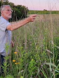 Farmer in prairie strip