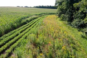 Prairie STRIP